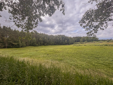 Działka Sprzedaż Piaseczno