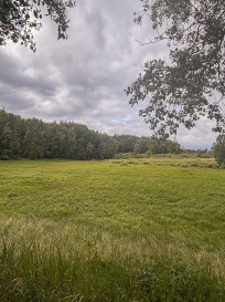 Działka Sprzedaż Piaseczno