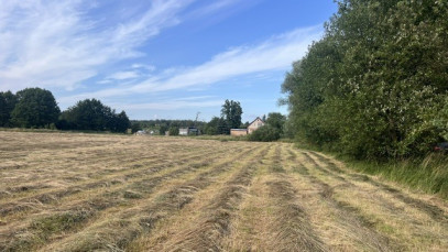 Działka Sprzedaż Tatynia
