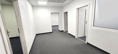 Lokal Wynajem Szczecin Śródmieście-Centrum