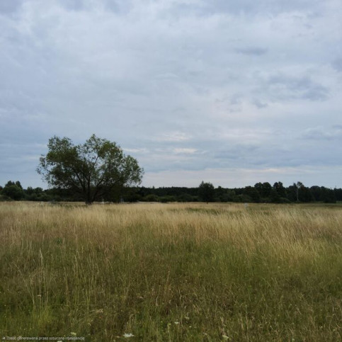 Działka Sprzedaż Buk 2