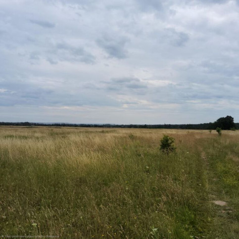Działka Sprzedaż Buk 3