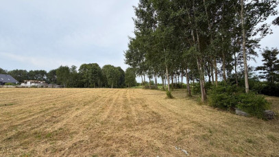 Działka Sprzedaż Marszewo