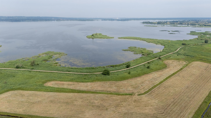 Działka Sprzedaż Lubczyna 4
