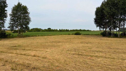 Działka Sprzedaż Marszewo