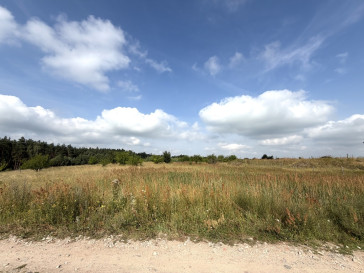 Działka Sprzedaż Daleszewo