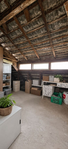 Dom Sprzedaż Borzym 20