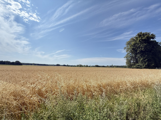 Działka Sprzedaż Oświno 18