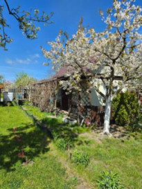 Działka Sprzedaż Szczecin Żelechowa Hoża