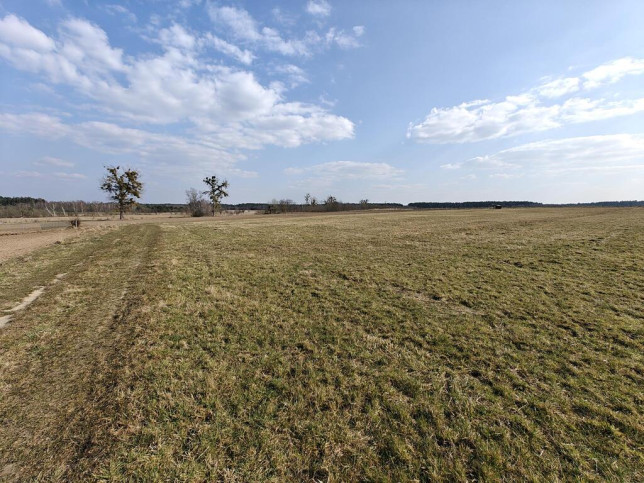 Działka Sprzedaż Stepnica 3
