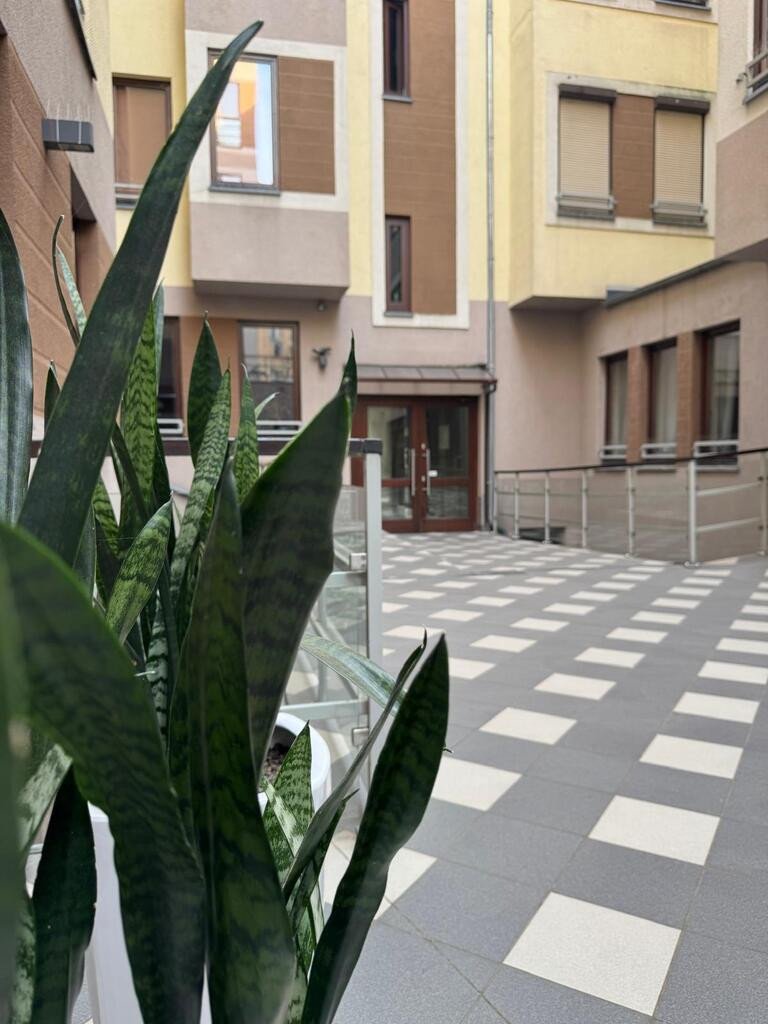Lokal Sprzedaż Szczecin Centrum