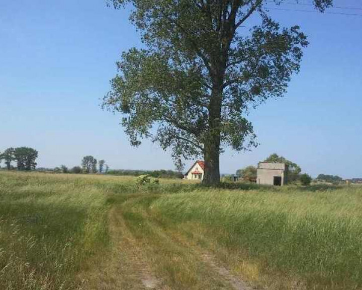 Działka Sprzedaż Lubczyna