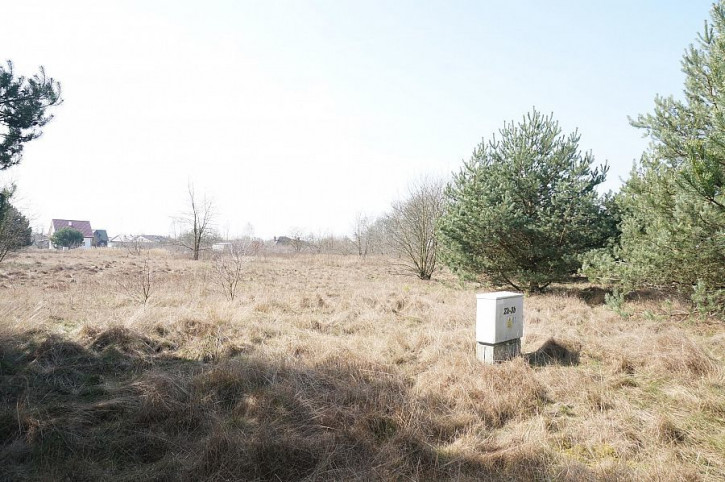 Działka Sprzedaż Rurzyca 1