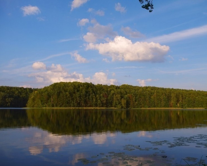 Działka Sprzedaż Komorze