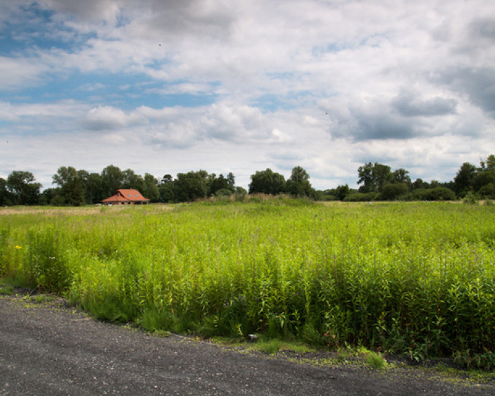 Działka Sprzedaż Zieleniewo