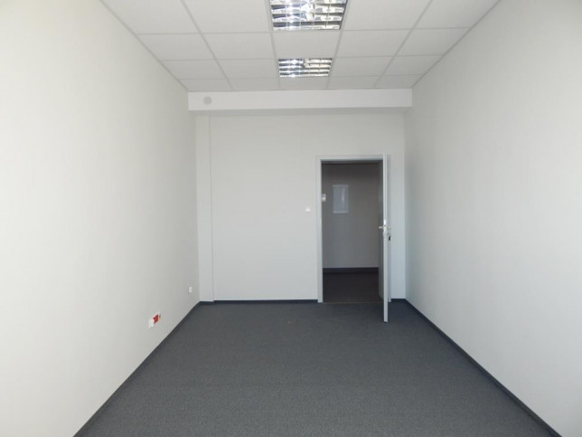 Lokal Wynajem Szczecin Śródmieście 2