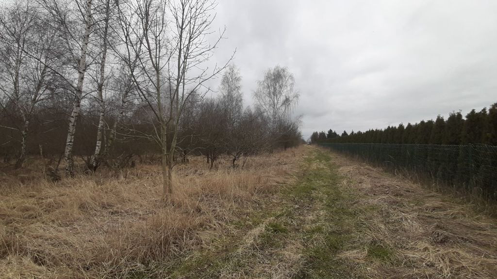 Działka Sprzedaż Karwowo