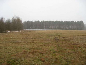 Działka Sprzedaż Stepnica