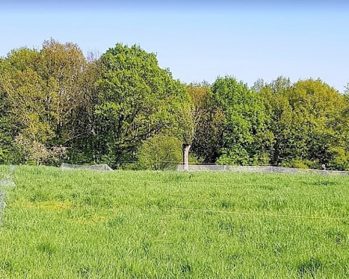 Działka Sprzedaż Szczecin Skolwin