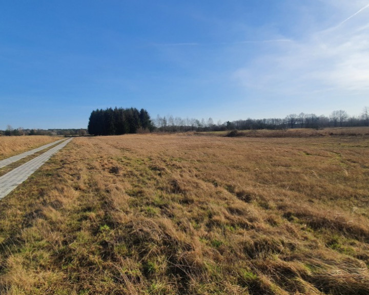 Działka Sprzedaż Białuń