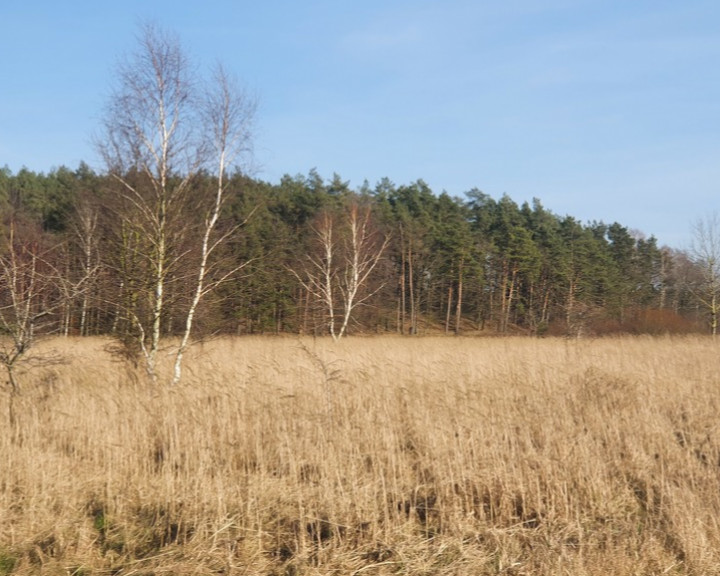 Działka Sprzedaż Białuń