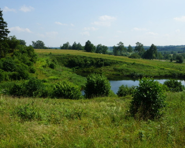 Działka Sprzedaż Bobolice