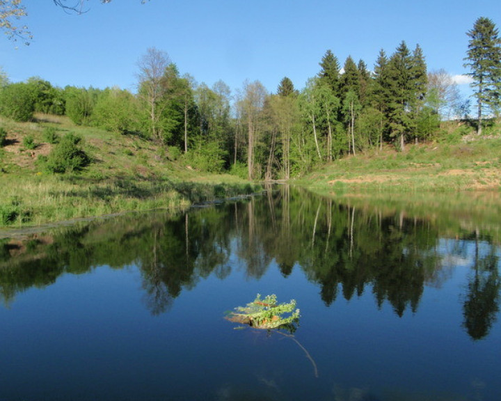 Działka Sprzedaż Bobolice