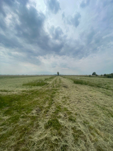 Działka Sprzedaż Wierzbno 14