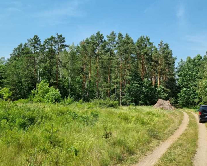 Działka Sprzedaż Stare Osieczno