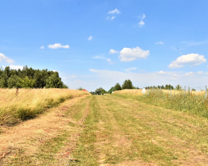 Działka Sprzedaż Kłodowo