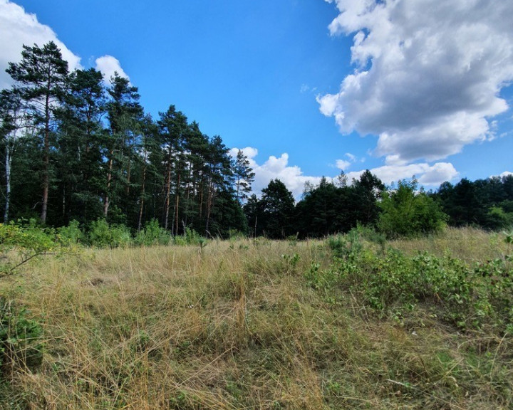 Działka Sprzedaż Stare Osieczno