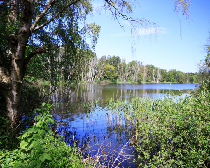 Działka Sprzedaż Bartoszewo