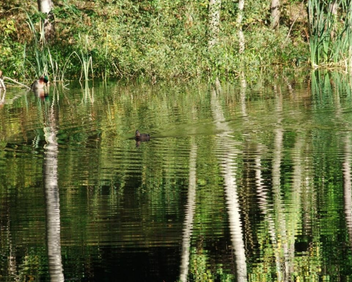 Działka Sprzedaż Bartoszewo