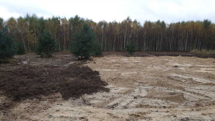 Działka Sprzedaż Borzyszewo 1