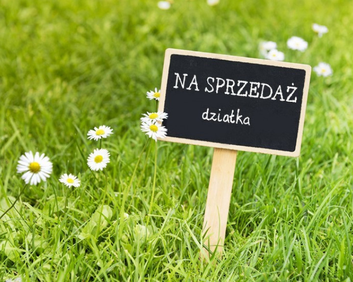 Działka Sprzedaż Wołczkowo