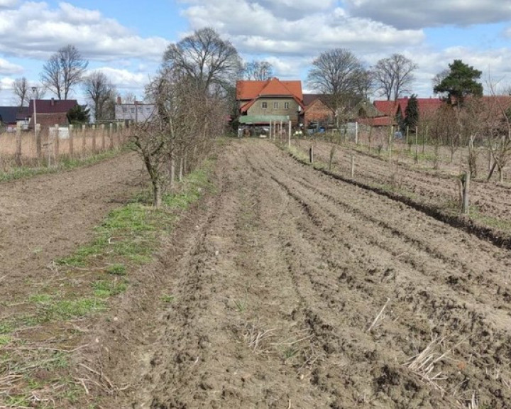 Mieszkanie Sprzedaż Suliszewo