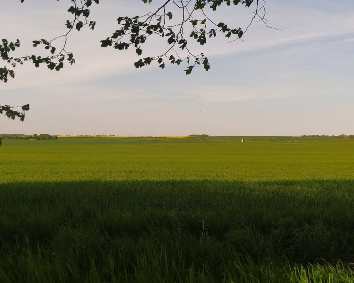 Działka Sprzedaż Bielkowo Sadowa