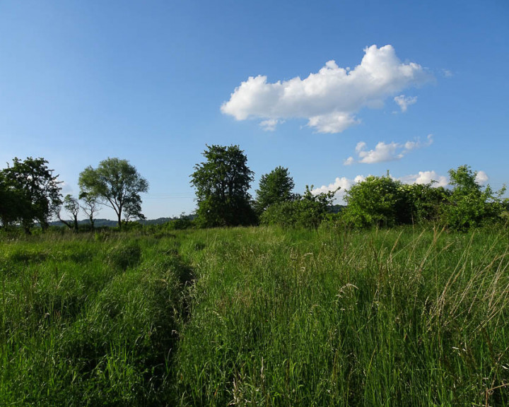 Działka Sprzedaż Binowo