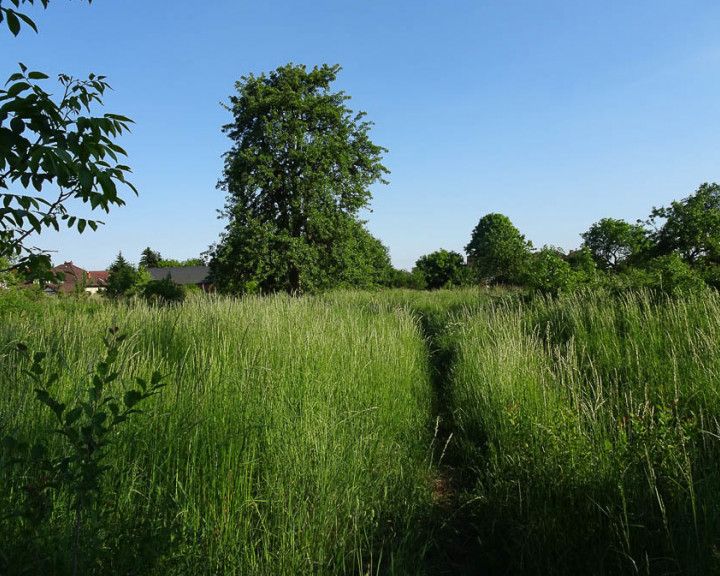 Działka Sprzedaż Binowo