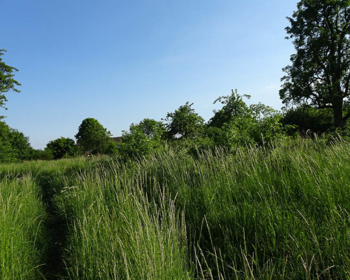 Działka Sprzedaż Binowo