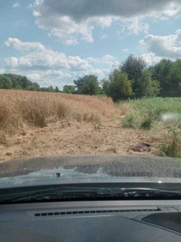 Działka Sprzedaż Stara Dąbrowa 10