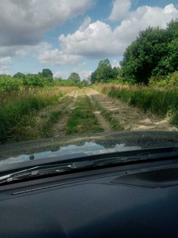 Działka Sprzedaż Stara Dąbrowa 12