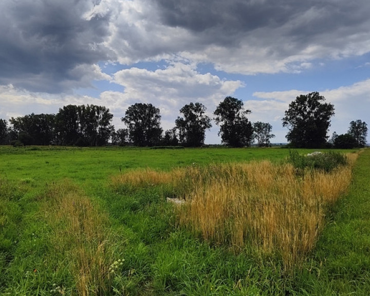 Działka Sprzedaż Rurzyca