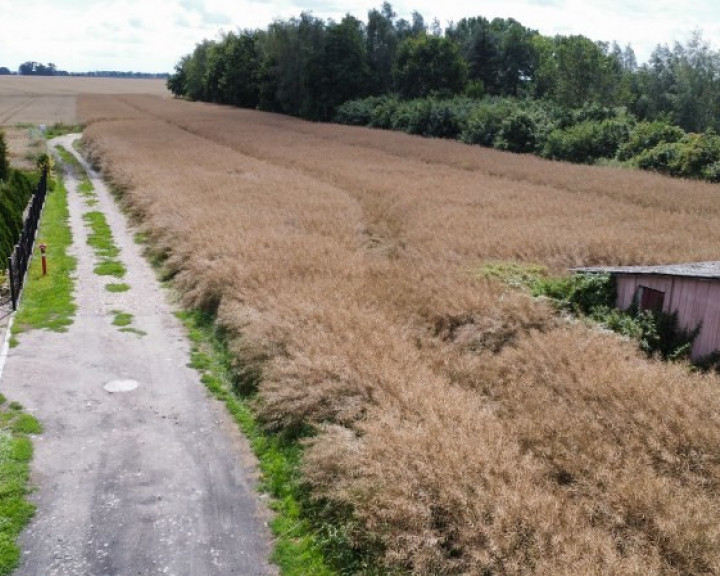 Działka Sprzedaż Warnice