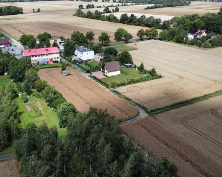 Działka Sprzedaż Warnice