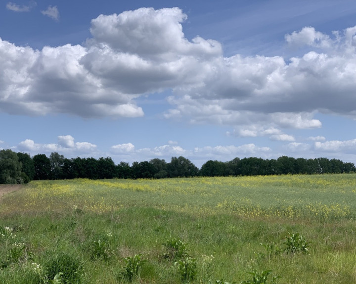 Działka Sprzedaż Stobno