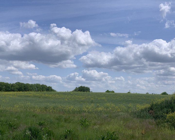 Działka Sprzedaż Stobno