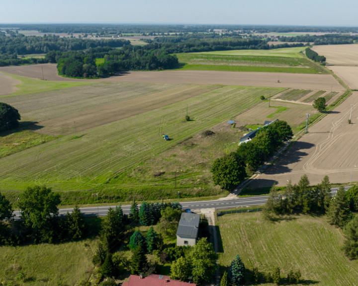 Działka Sprzedaż Maszewo