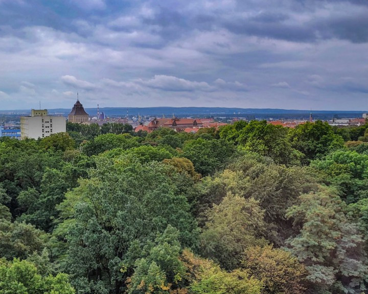 Mieszkanie Sprzedaż Szczecin Centrum Jana Matejki