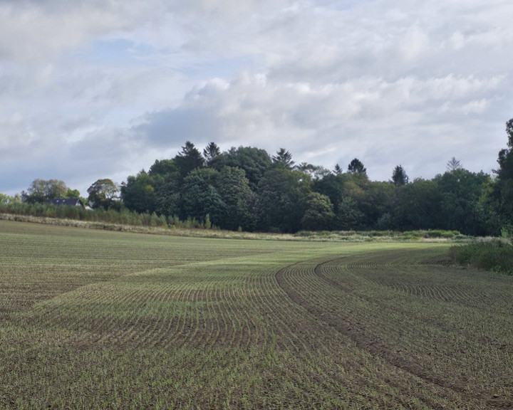 Działka Sprzedaż Niekładź